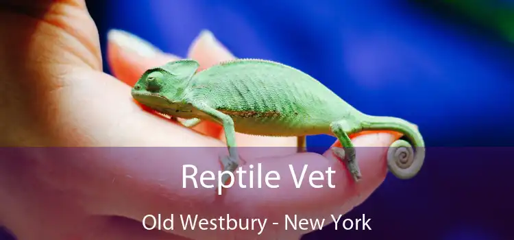 Reptile Vet Old Westbury - New York