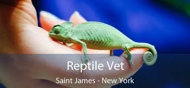 Reptile Vet Saint James - New York