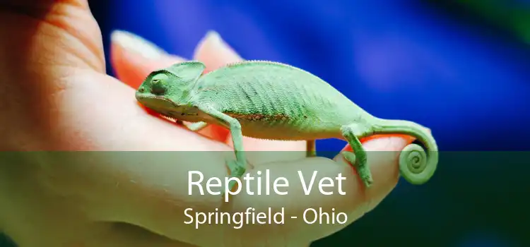 Reptile Vet Springfield - Ohio