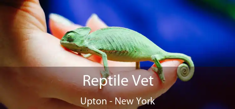 Reptile Vet Upton - New York