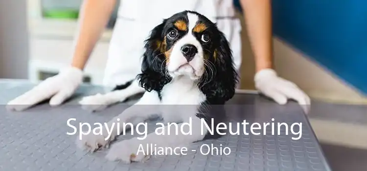 Spaying and Neutering Alliance - Ohio
