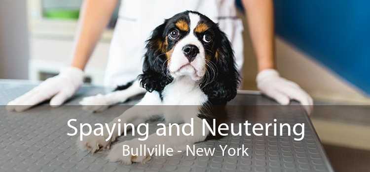 Spaying and Neutering Bullville - New York