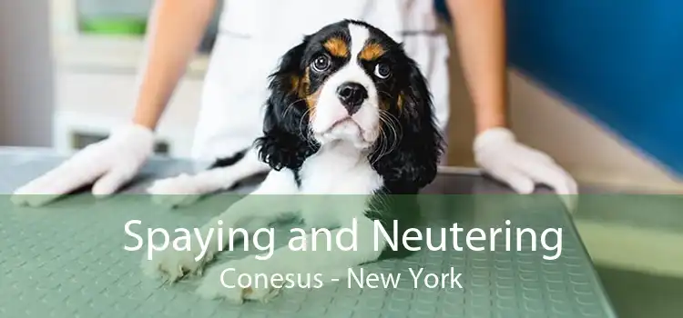 Spaying and Neutering Conesus - New York