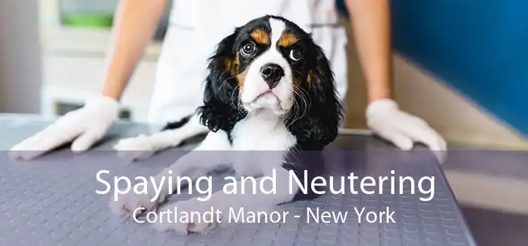 Spaying and Neutering Cortlandt Manor - New York
