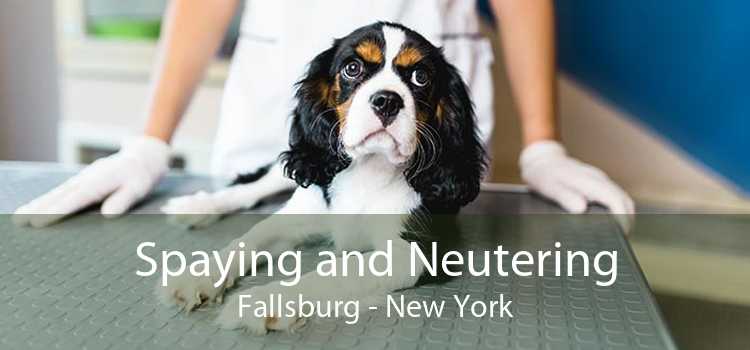 Spaying and Neutering Fallsburg - New York