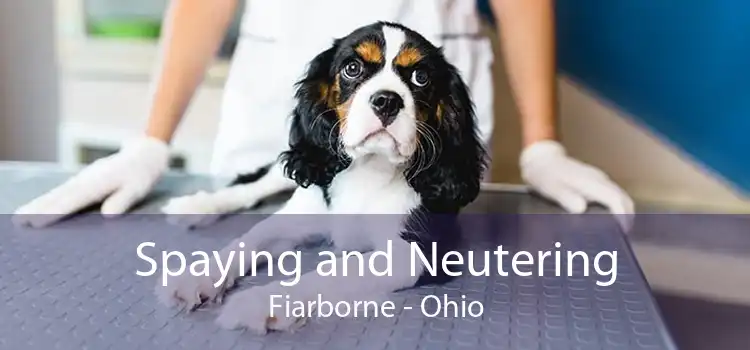 Spaying and Neutering Fiarborne - Ohio