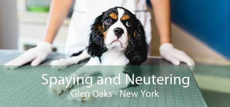 Spaying and Neutering Glen Oaks - New York