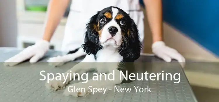 Spaying and Neutering Glen Spey - New York