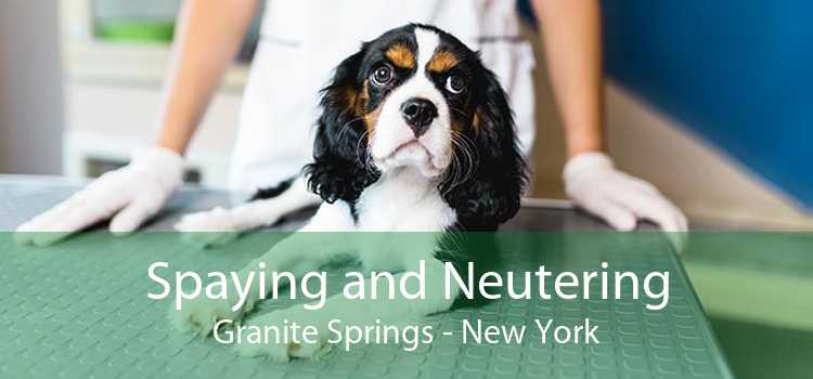 Spaying and Neutering Granite Springs - New York