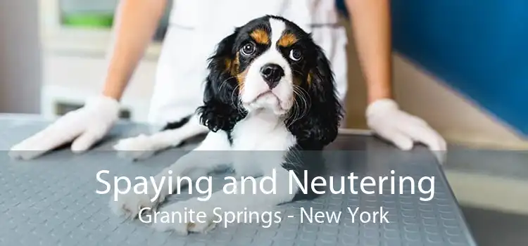 Spaying and Neutering Granite Springs - New York