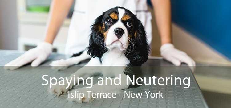 Spaying and Neutering Islip Terrace - New York