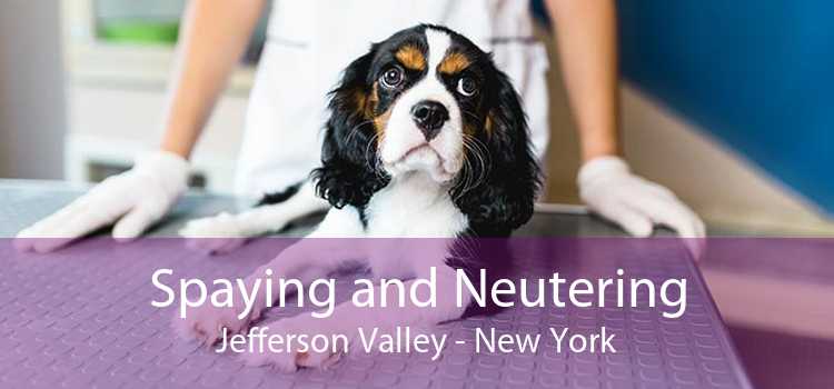 Spaying and Neutering Jefferson Valley - New York