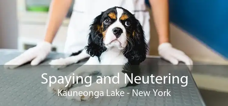 Spaying and Neutering Kauneonga Lake - New York