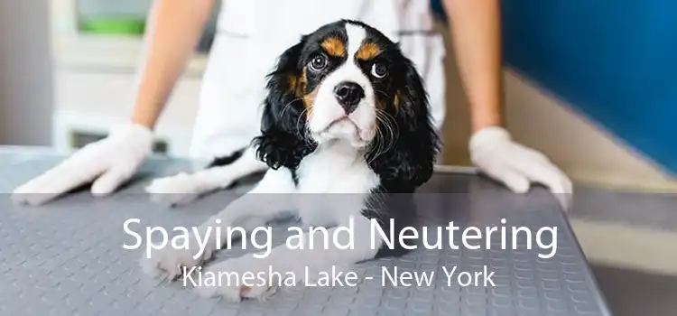Spaying and Neutering Kiamesha Lake - New York