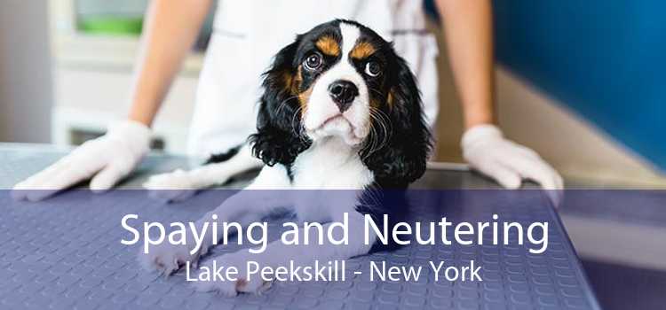 Spaying and Neutering Lake Peekskill - New York