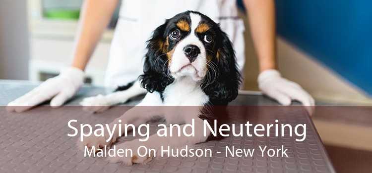 Spaying and Neutering Malden On Hudson - New York
