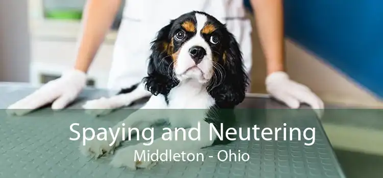 Spaying and Neutering Middleton - Ohio