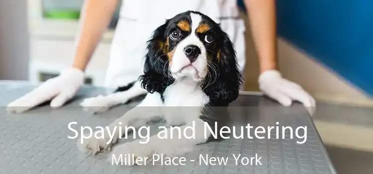 Spaying and Neutering Miller Place - New York