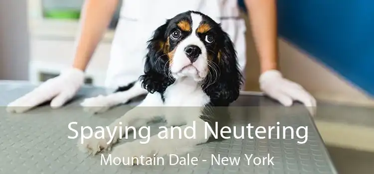 Spaying and Neutering Mountain Dale - New York