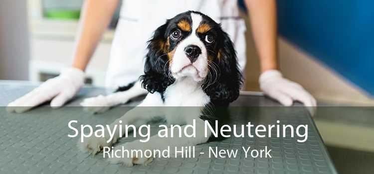 Spaying and Neutering Richmond Hill - New York
