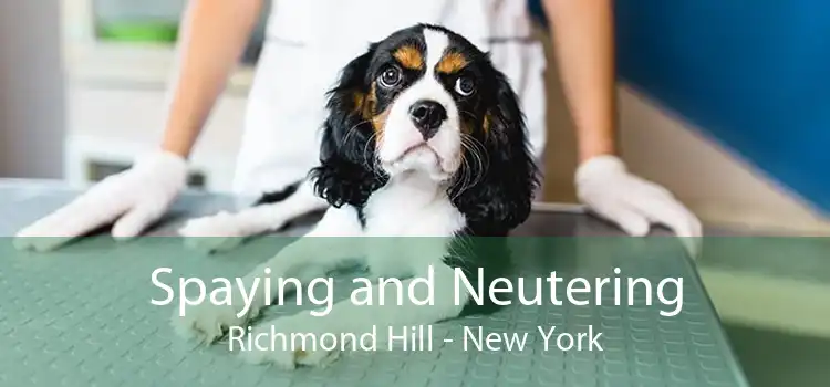 Spaying and Neutering Richmond Hill - New York