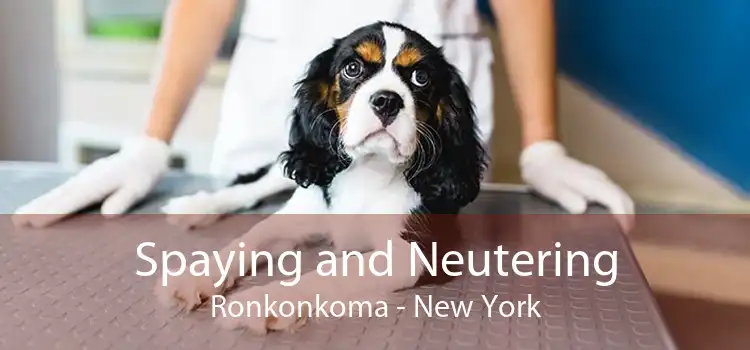 Spaying and Neutering Ronkonkoma - New York