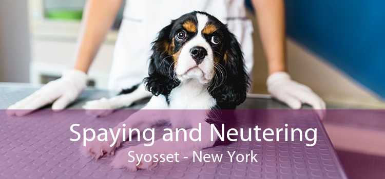 Spaying and Neutering Syosset - New York