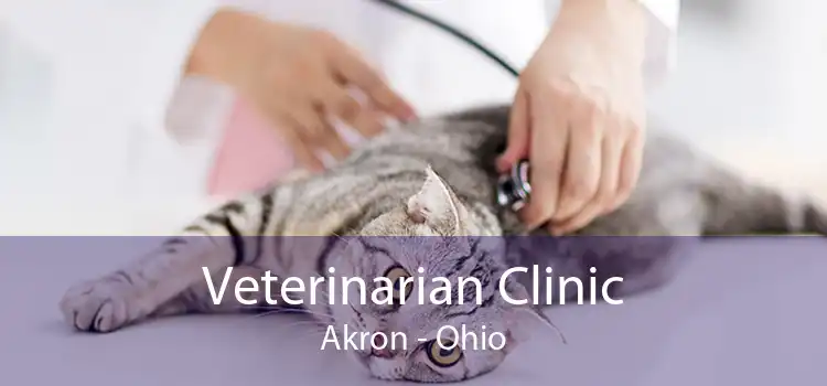 Veterinarian Clinic Akron - Ohio