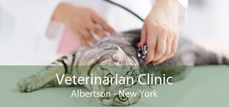 Veterinarian Clinic Albertson - New York