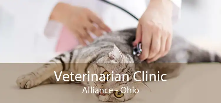 Veterinarian Clinic Alliance - Ohio