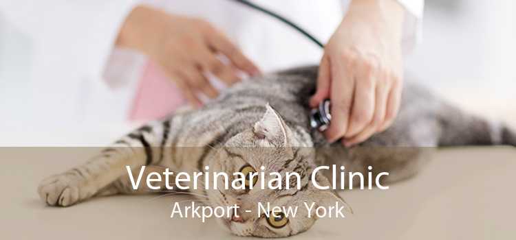 Veterinarian Clinic Arkport - New York