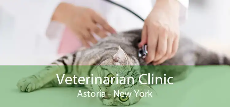 Veterinarian Clinic Astoria - New York