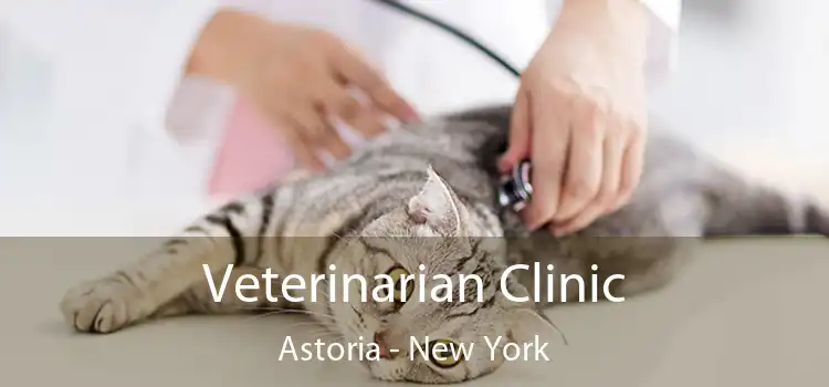 Veterinarian Clinic Astoria - New York