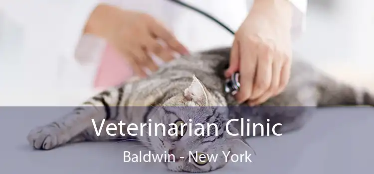 Veterinarian Clinic Baldwin - New York