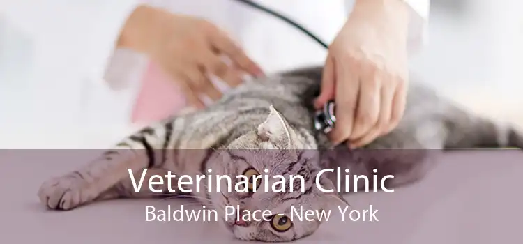 Veterinarian Clinic Baldwin Place - New York