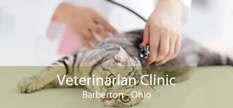Veterinarian Clinic Barberton - Ohio