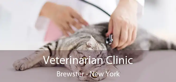 Veterinarian Clinic Brewster - New York