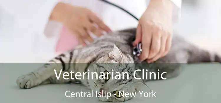 Veterinarian Clinic Central Islip - New York