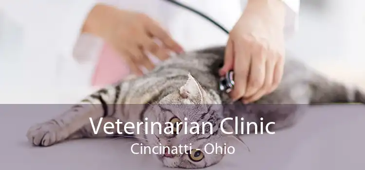 Veterinarian Clinic Cincinatti - Ohio
