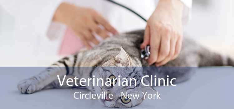 Veterinarian Clinic Circleville - New York