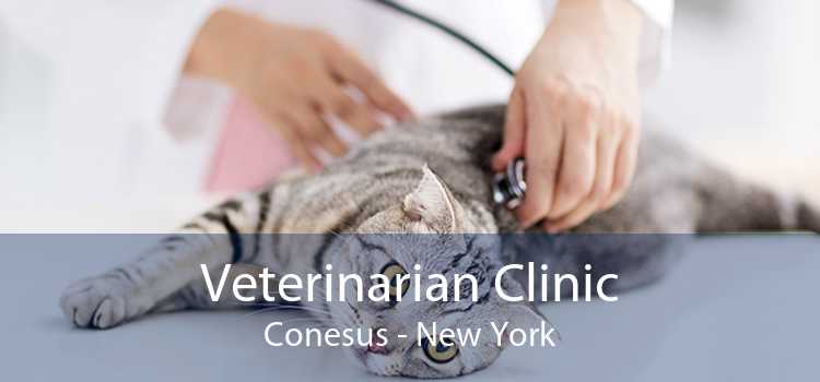 Veterinarian Clinic Conesus - New York