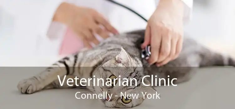 Veterinarian Clinic Connelly - New York