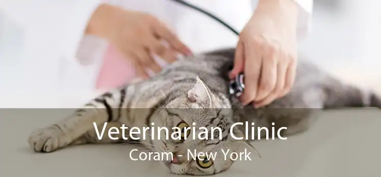 Veterinarian Clinic Coram - New York