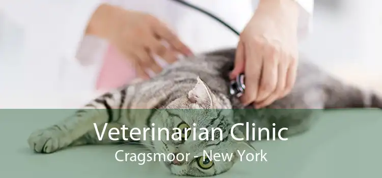 Veterinarian Clinic Cragsmoor - New York