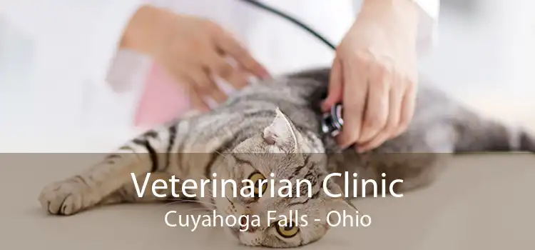 Veterinarian Clinic Cuyahoga Falls - Ohio