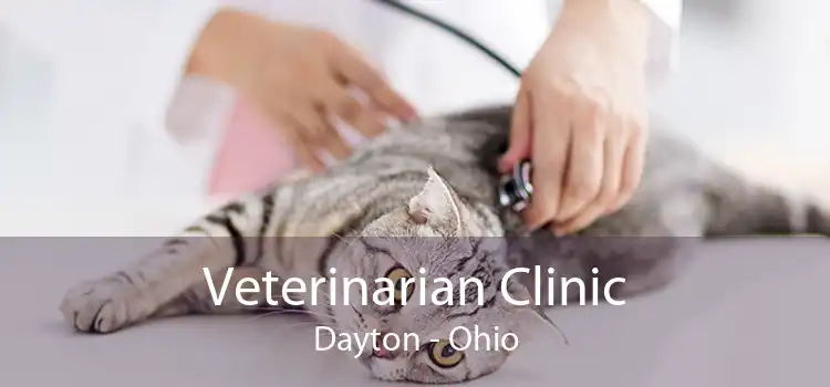 Veterinarian Clinic Dayton - Ohio