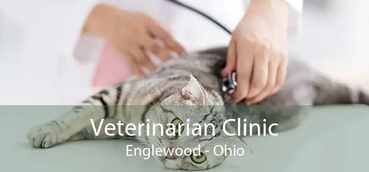 Veterinarian Clinic Englewood - Ohio