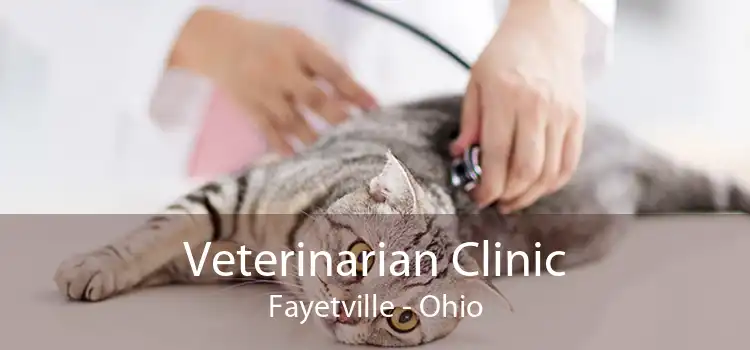 Veterinarian Clinic Fayetville - Ohio