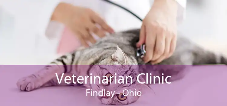 Veterinarian Clinic Findlay - Ohio