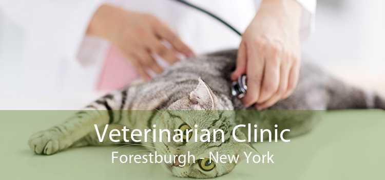 Veterinarian Clinic Forestburgh - New York